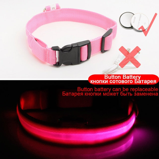 LED Dog Collars - PetsandGadgets