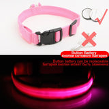 LED Dog Collars - PetsandGadgets