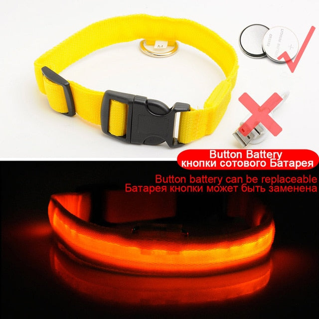 LED Dog Collars - PetsandGadgets